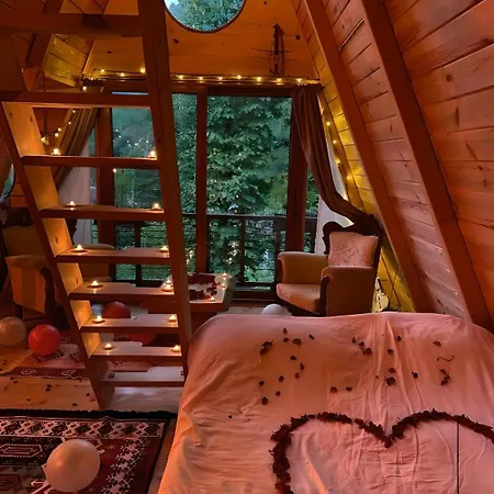 Aparthotel Forest Uzungol 3*